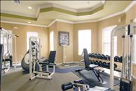 Alexandria Parc Vue at Lake Buena Vista - Fitness Center
