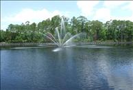 Avenue Royale - Pond