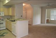 Avenue Royale - Kitchen