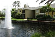 Cape House - Pond