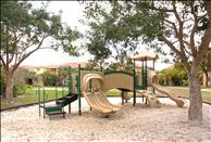 Coconut Palm Club - Playground