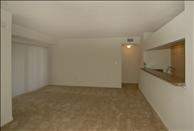 Coconut Palm Club - Living Room