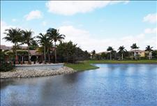 Palm Beach - Boynton Beach - The Cove at Boynton Beach Apartments - Pond