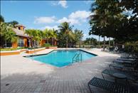 The Cove at Boynton Beach - Swimming Pool