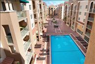 Miami - Coral Gables - Gables Grand Plaza - Swimming Pool