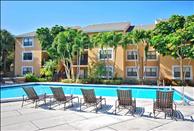 Hammocks Place - Swimming Pool