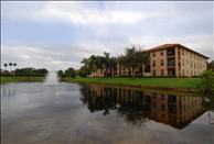 Heron Pointe - Pond