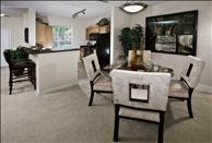 Key Isle at Windermere - Living Room