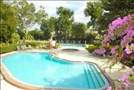 The Enclave at Lake Underhill - Swimming Pool