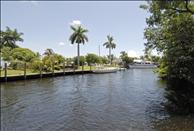 New River Cove - View