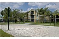 Palm Trace Landings - Volleyball Court