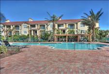 Ft. Lauderdale - Coral Springs - The Park at Turtle Run - Swimming Pool