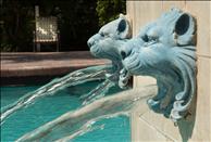 Ft. Lauderdale - Coral Springs - Promenade at Wyndham Lakes - Swimming Pool