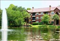 Orlando - Lake Buena Vista - Sabal Palm at Lake Buena Vista - Community
