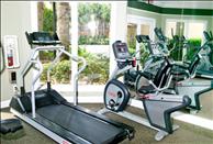 Orlando - Lake Buena Vista - Sabal Palm at Lake Buena Vista - Fitness Center