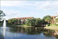 Sabal Palm at Lake Buena Vista - Pond