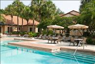 Orlando - Lake Buena Vista - Sabal Palm at Lake Buena Vista - Swimming Pool