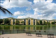 Orlando - Metrowest - Sabal Palm at Metrowest  II - Community