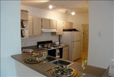 Orlando - Metrowest - Sabal Palm at Metrowest  II - Kitchen