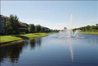 Stonybrook - Pond