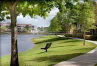 Palm Beach - Boynton Beach - Stonybrook - Common Area