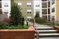 City View - Common Area