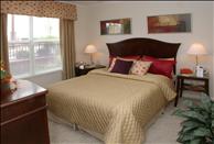 City View - Bedroom
