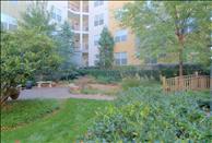 City View - Outdoor Area