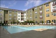 City View - Swimming Pool