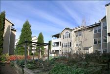 Atlanta - North Druid Hills - The Preserve at Briarcliff - Community