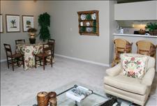 Atlanta - North Druid Hills - The Preserve at Briarcliff - Living/Dining Room