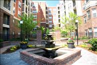 Savannah  Midtown - Community