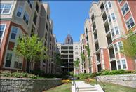 Savannah  Midtown - Community
