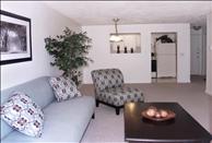 Abington Glen - Living/Dining Room