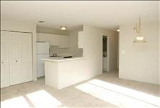 South Boston - Canton - Arboretum - Living/Dining Room