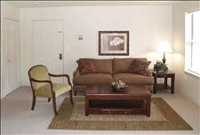 South Boston - Canton - Arboretum - Living Room