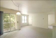 South Boston - Canton - Arboretum - Living/Dining Room