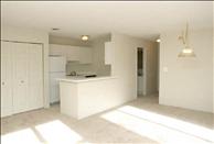 South Boston - Canton - Arboretum - Living/Dining Room