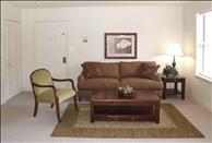 South Boston - Canton - Arboretum - Living Room