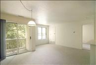 South Boston - Canton - Arboretum - Living/Dining Room