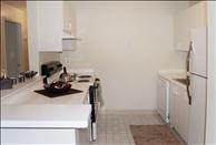 Arboretum - Kitchen