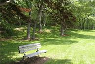 Rockingham Glen - Outdoor Area