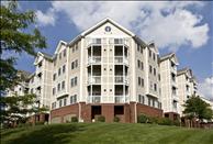 South Boston - West Quincy - Rosecliff - Community