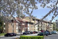 Chesapeake Glen - Community