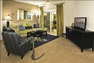 Maryland - Hyattsville - Mosaic at Metro - Living Room
