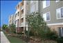 Northlake - Community
