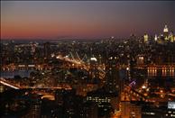 The Brooklyner - View