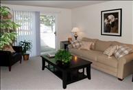 Winchester Park - Living Room
