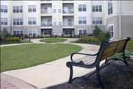 The Reserve at Eisenhower - Picnic Area