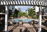 Washington DC - Alexandria - The Reserve at Eisenhower - Swimming Pool